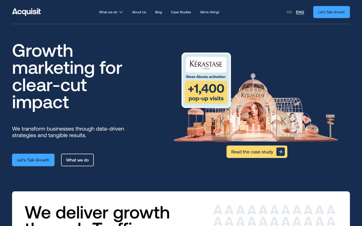 Acquisit website homepage
