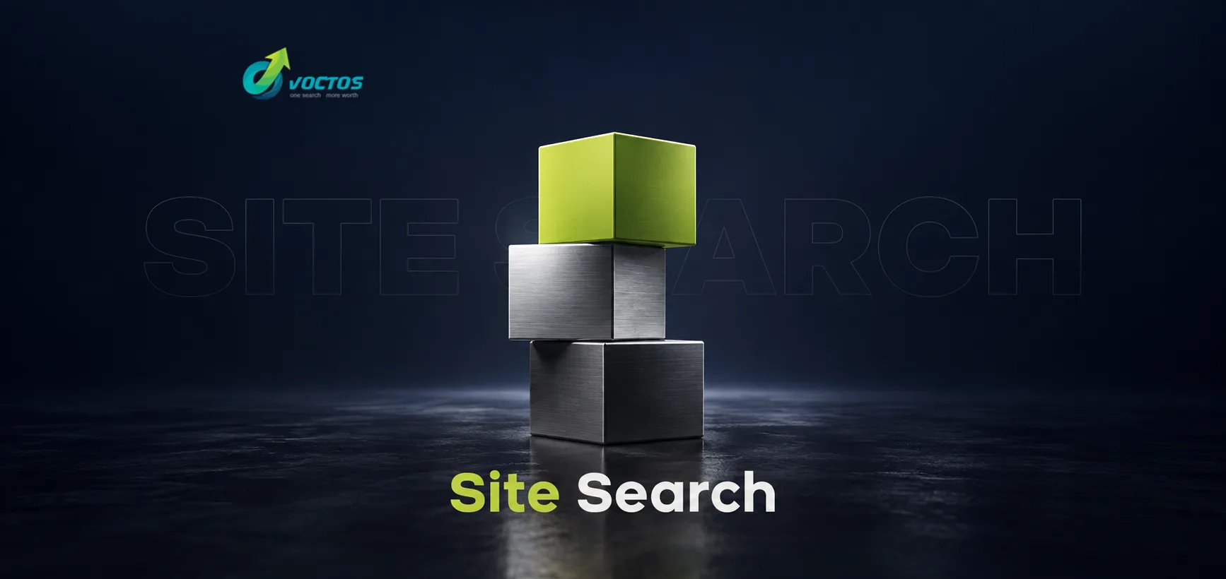 Arabic Site Search Normalization: 20 Arab Online Stores Tested
